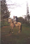 onhorse.jpg (149316 bytes)