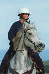 Knight.jpg (36788 bytes)